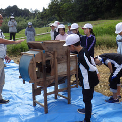 10月17日(木) 脱穀体験(5・6年生)