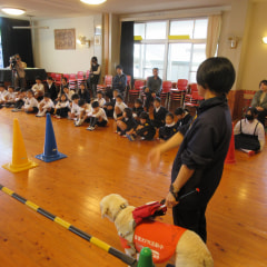 11月11日(月) 盲導犬学校キャラバン