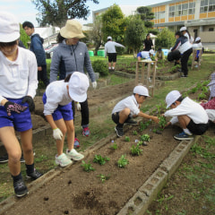 11月19日(火) 「心をこめて…!!」花の苗植え