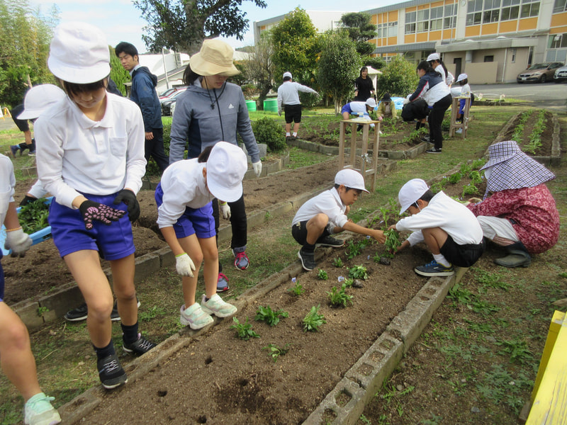 11月19日(火) 「心をこめて…!!」花の苗植え