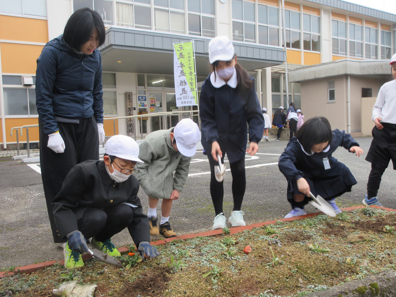1月31日(金) チューリップの球根を植えました!!
