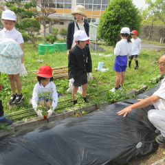5月12日(月) 野菜の苗を植えました!!《1・2年生》
