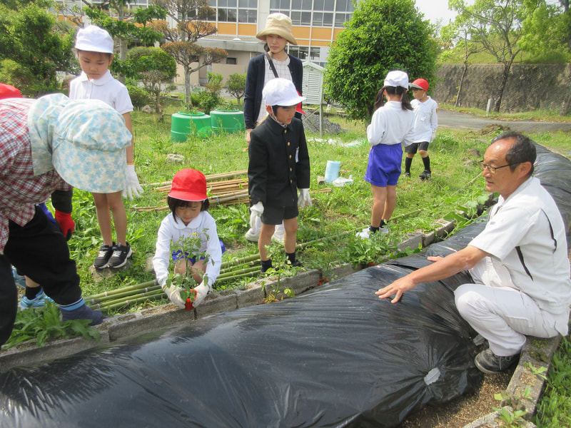 5月12日(月) 野菜の苗を植えました!!《1・2年生》