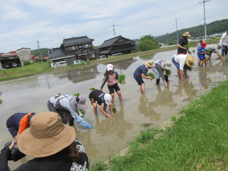 6月6日(金) しっかり育ってね!! ~田植え体験~