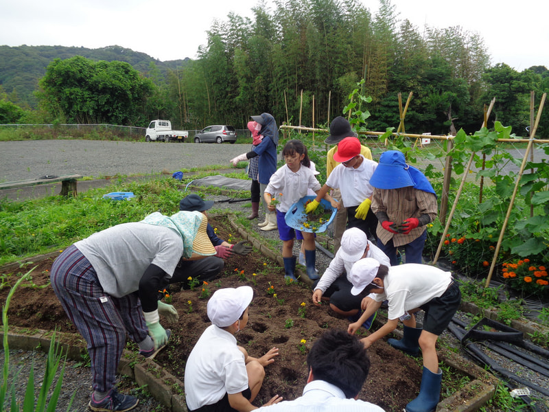 6月24日(火) 花の苗植え「ボランティアの皆様、ありがとうございました!」