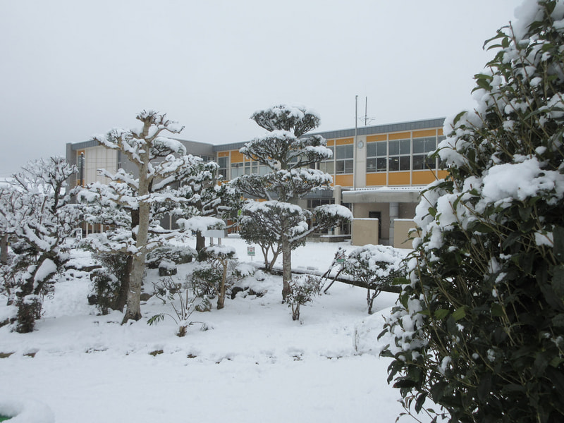 大雪…季節限定の◇◇に…?