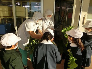 1・2年生が収穫した野菜が給食に登場