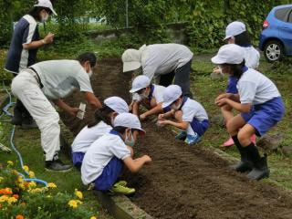 1・2年生 冬野菜の種まき・苗植え