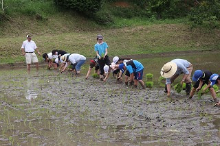 6月12日(月) 田植え体験