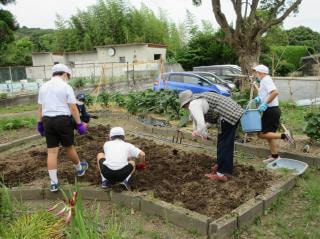 全校と地域の方とで 花壇の土作り