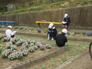 1・2年生 お花見スケッチ