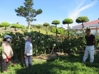 野菜作り名人の方々が畑の見回り