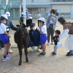 5・6年生 今富ダムまでウォーク