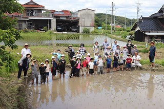 田植え