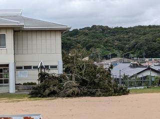 全校 台風被害