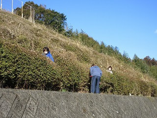 地域 若者センター環境整備作業ボランティア