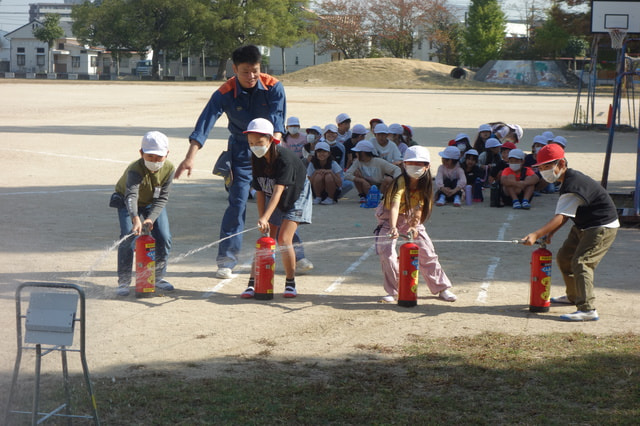 DSC01987.JPG