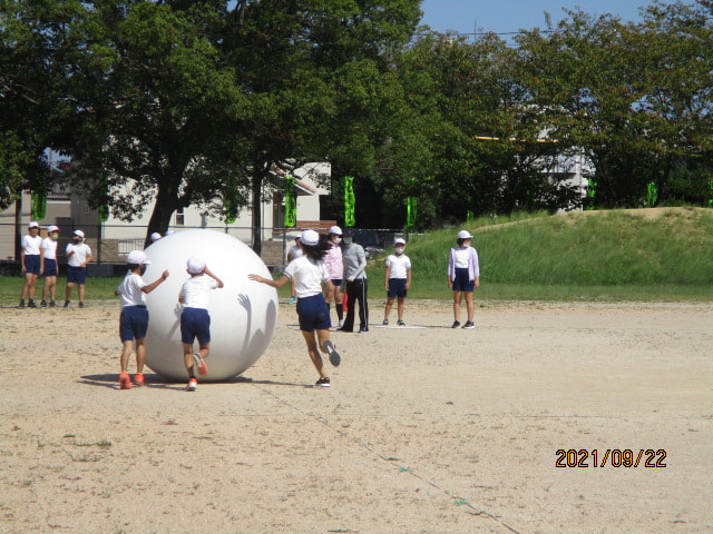 IMG_1582.JPG