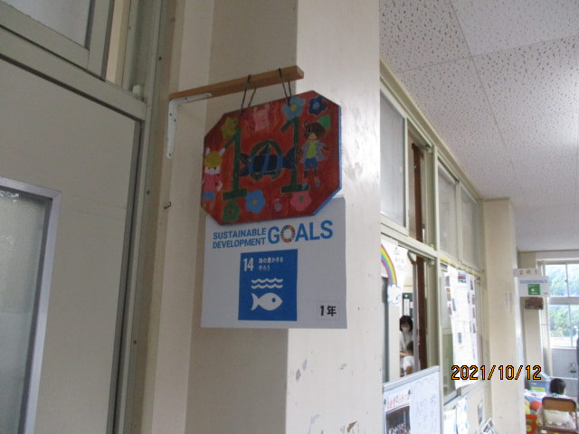IMG_2319.JPG