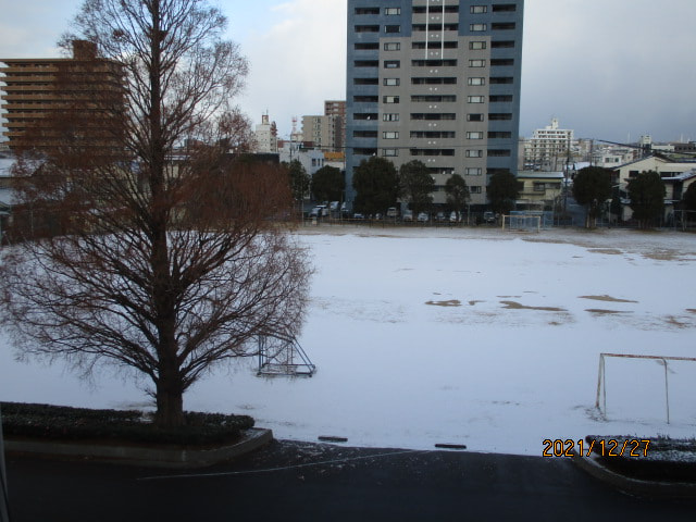 IMG_4110.JPG
