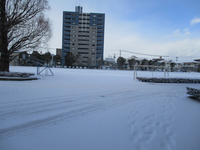 IMG_4543.JPG