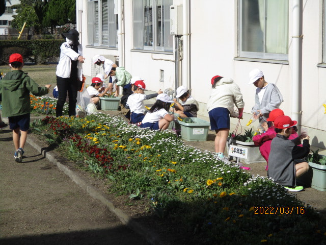 IMG_4961.JPG