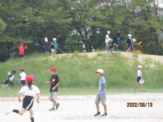 IMG_5895.JPG