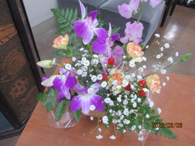 IMG_7510.JPG