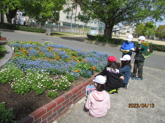 IMG_8084.JPG