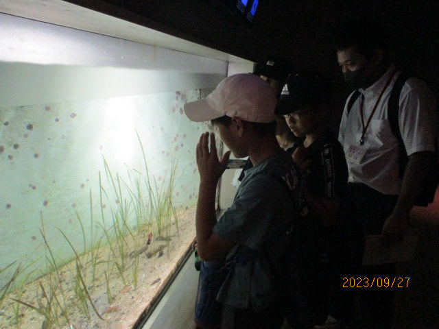IMG_9275.JPG