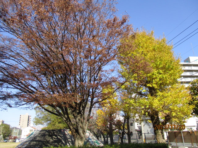 IMG_9690.JPG
