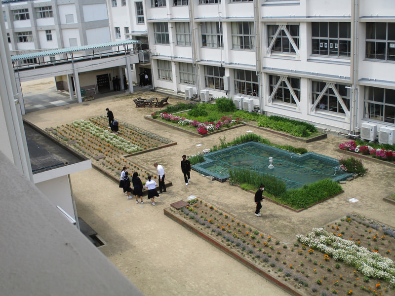 昼休みに花壇整備をしました。
