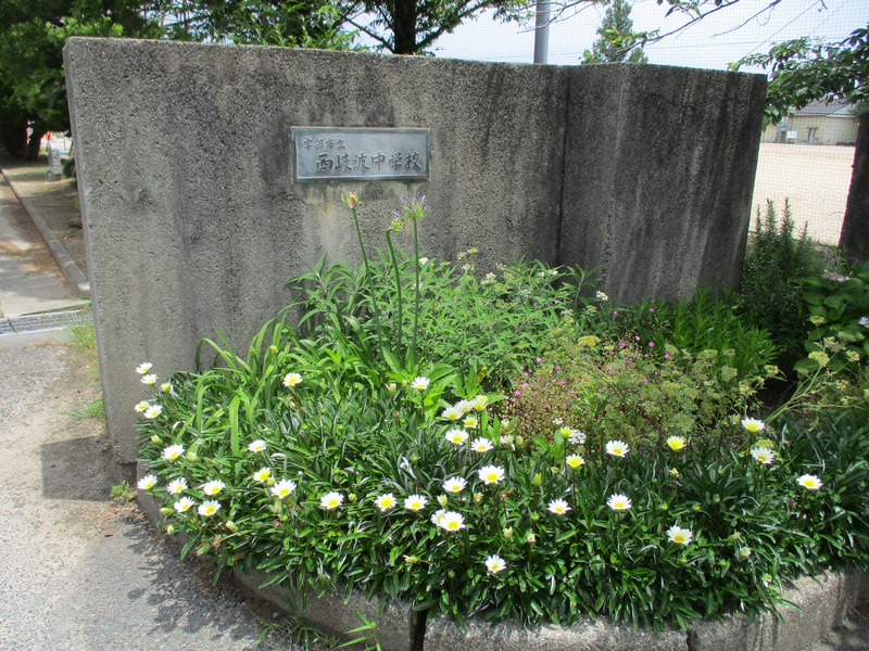 西岐波中の花々