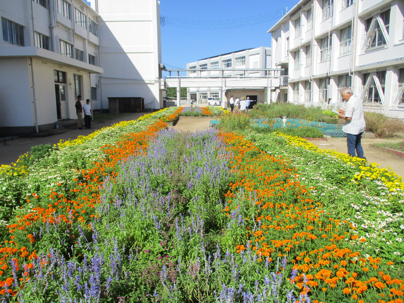 秋の花壇コンクール最優秀賞!