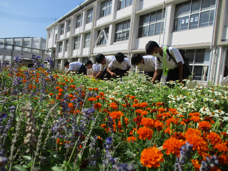 テスト後に花摘みをしました。