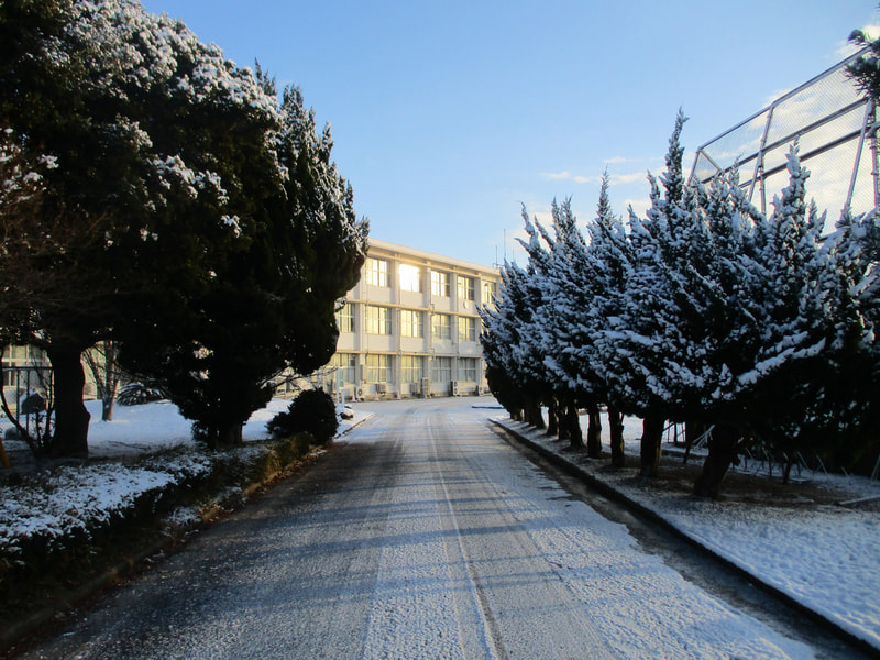 校地内の雪景色