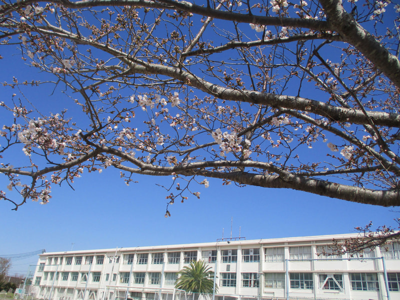 令和6年度最終日