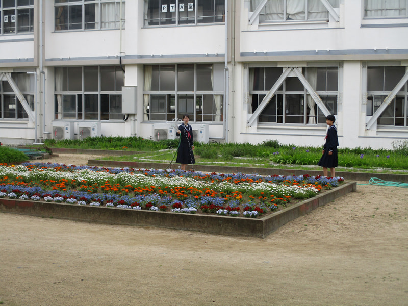 校庭の花壇