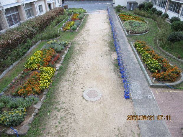 花壇１.JPG