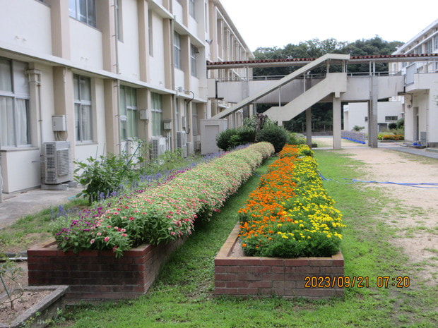 花壇３.JPG