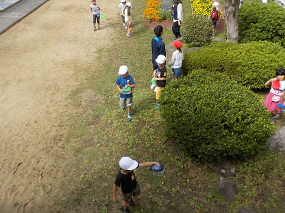 １年　虫取り１.jpg