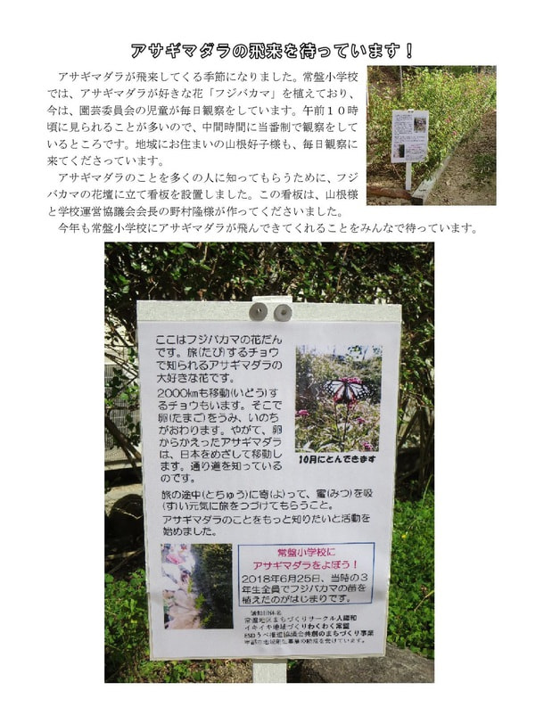 1005asagimadaranokanbansetti.jpg