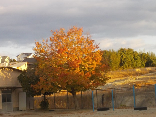 DSCN4383.JPG