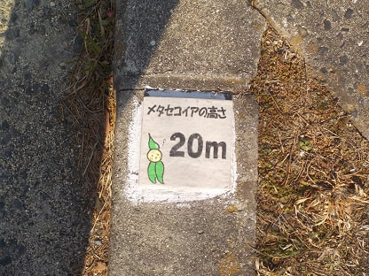 DSCN4792.JPG