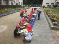 IMG_7579.JPG