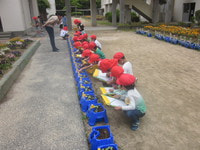 IMG_7582.JPG