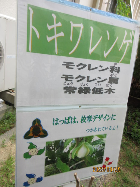 IMG_8050.JPG