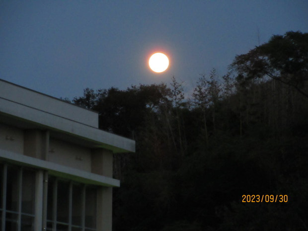 IMG_8451.JPG