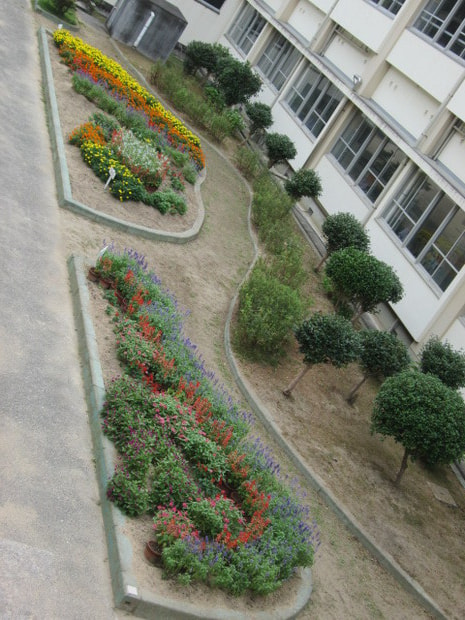 IMG_8831.JPG