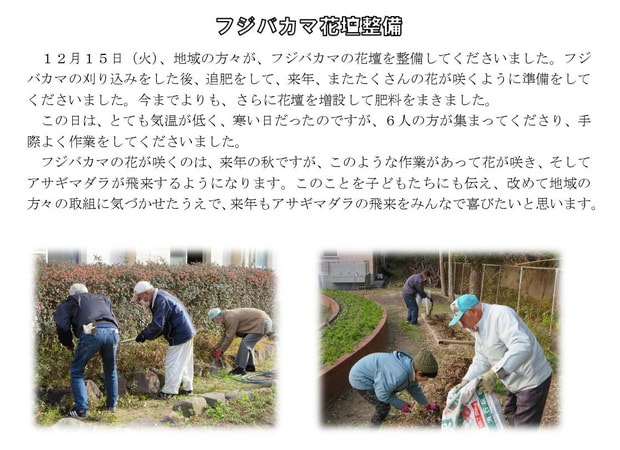 Microsoft Word - 1215 フジバカマ花壇整備.jpg